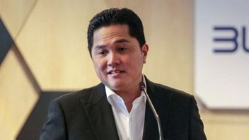 2 Years As Minister, Erick Thohir Forms Many BUMN Holdings, What's The Goal?