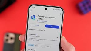 Thunderbird Present On Android In Beta First Version