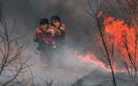 Bukan Hanya Sanksi Karhutla, Dewan Minta Pemerintah Fokus Pemulihan Fungsi Hutan