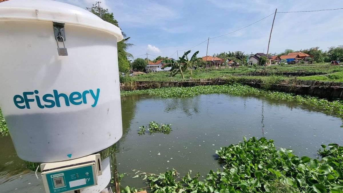 eFishery Gandeng Garda Pangan Salurkan Ikan ke Masyarakat Prasejahtera di Surabaya, Ini Tujuannya