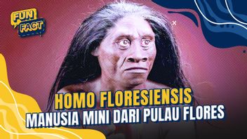 5 faktaホモフローレシエンシス、フローレス島出身のミニヒューマン