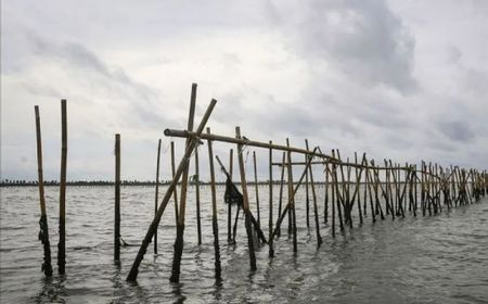 Taati Regulasi Pemerintah, PT TRPN Bongkar Pagar Laut Bekasi Sepanjang 3,3 Km