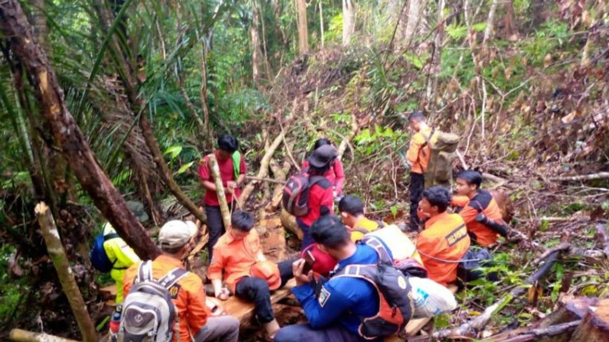 搜救队在南苏拉威西岛东鲁武森林找到3名失踪男子