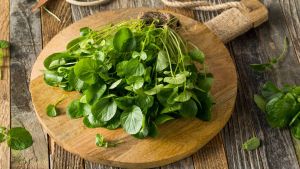 Cocok untuk Diet, Ini Sayuran Paling Sehat Menurut Sains