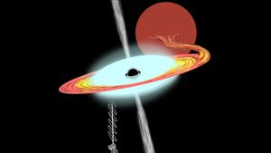 Astronomers Find New Black Holes Thanks To NASA's IXPE Ride