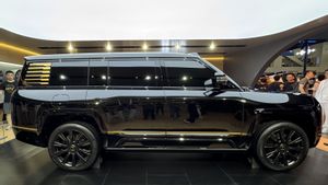 SUV Mewah BYD Yangwang U8L Disiksa dengan Ditimpa Pohon Raksasa, Hasilnya Mengejutkan