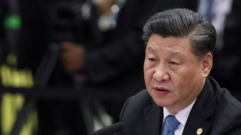 Le Chancelier Olaf Scholz Appelle, Le Président Xi Jinping Espère Que L’Allemagne Pourra Stabiliser Les Relations Sino-européennes