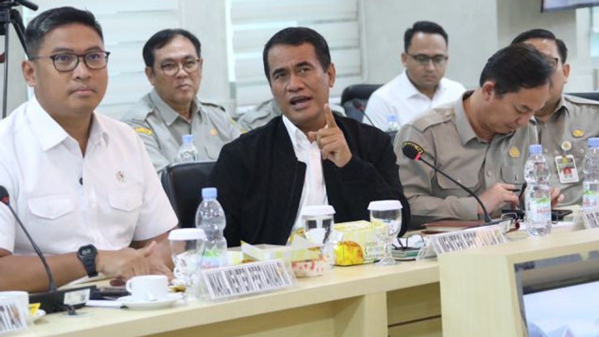 Mentan Amran Sebut Efisiensi Anggaran Tidak Hambat Program Swasembada Pangan