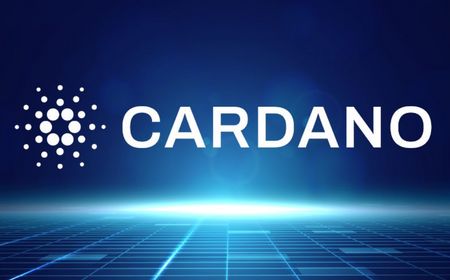 Cardano Catat Rekor TVL dan Stablecoin, DeFi Makin Berkilau