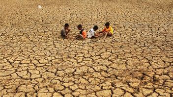 Peak Of Dry Season, Drought In NTB Expands In 12 Regencies 57 Regions