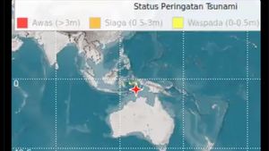 Gempa Maluku M 7,9, BMKG Keluarkan Peringatan Dini Tsunami di Maluku dan Sultra