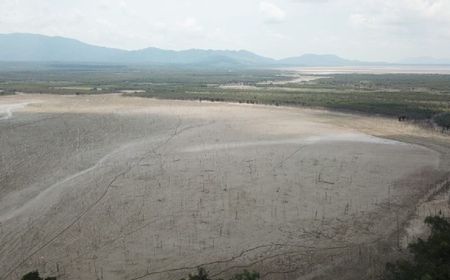 Penampakan Danau Sentarum Kalbar Mengering, Warga Kesulitan Air Bersih