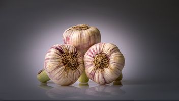 Mengenal <i>Golden Garlic</i> dan Manfaatnya untuk Kesehatan, Sering Dianggap tidak Layak Konsumsi 