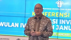 Bukan China, Investasi Asing Terbesar di Indonesia Berasal dari Singapura