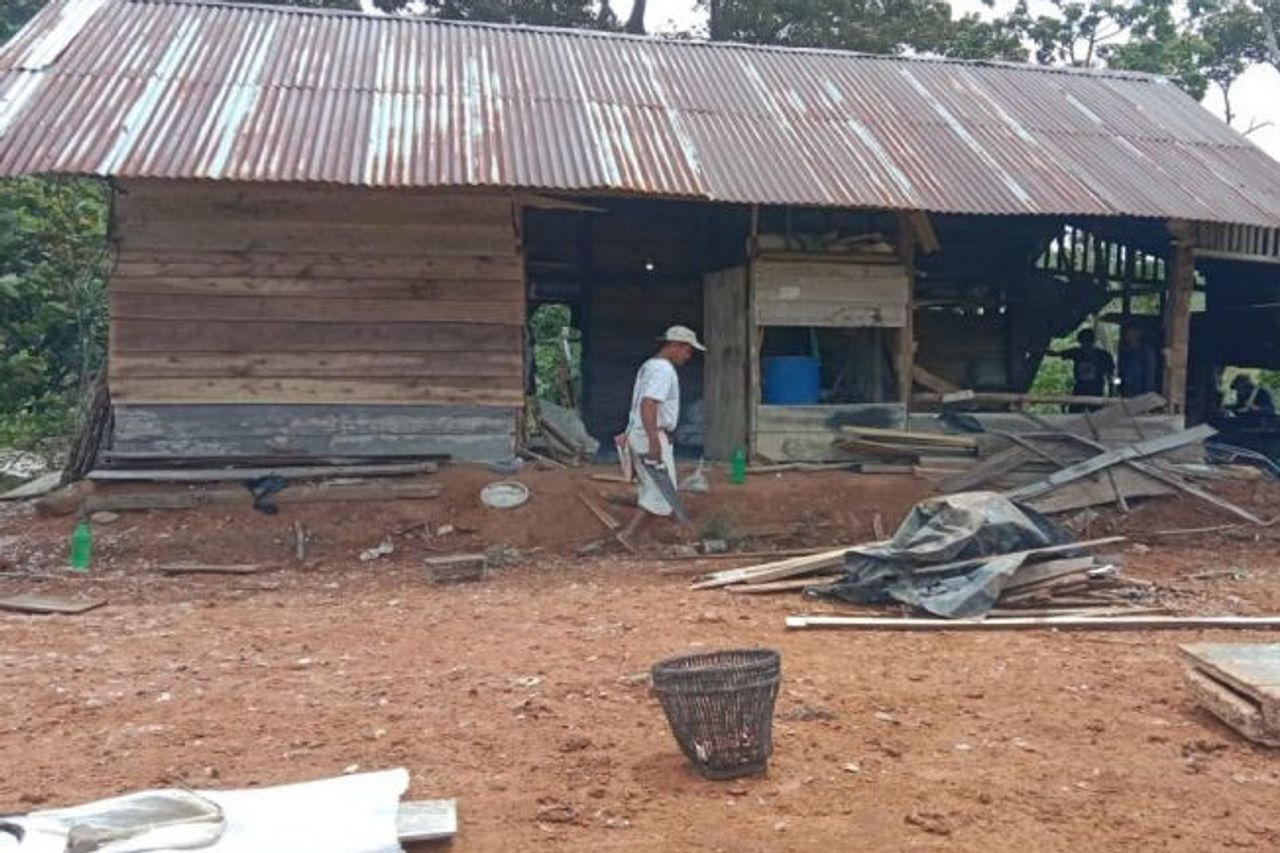Wild Elephant Damaged Residents' Houses In Sidorejo, West Lampung