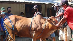 Wali Kota Jakpus Imbau Lokasi Pemotongan Hewan Kurban Tidak Mengganggu Lalu Lintas dan Pejalan Kaki