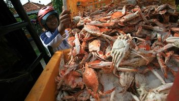 Exports Of Crabs That Are Continuously Being Pushed