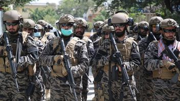 塔利班挑选的武装部队指挥官说，阿富汗正在为建立正规军做准备