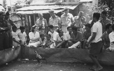 Pajak Sabung Ayam untuk Pembangunan Batavia di Masa Kolonial