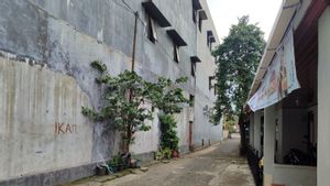 BMKG Bengkulu Imbau Masyarakat Waspadai Angin Kencang dan Hujan Lebat