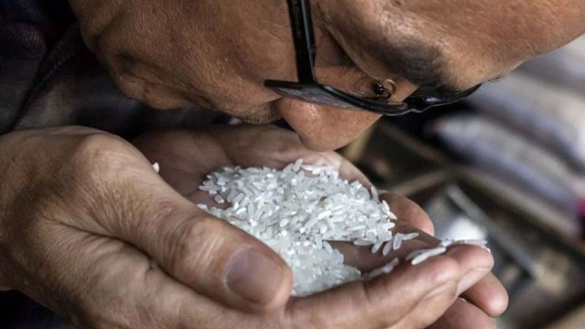 Ramai Beras Oplosan, Pemerintah Ungkap Cara Membedakannya