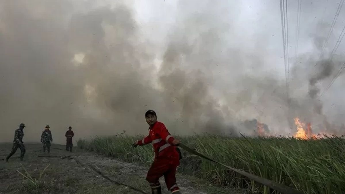 Kebakaran di Klandasan Ulu Kaltim, 64 Orang Korban Dievakuasi, Termasuk 5 Balita
