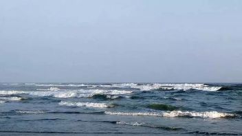 当心，2.5米高的海浪威胁着卡尔塔拉水域