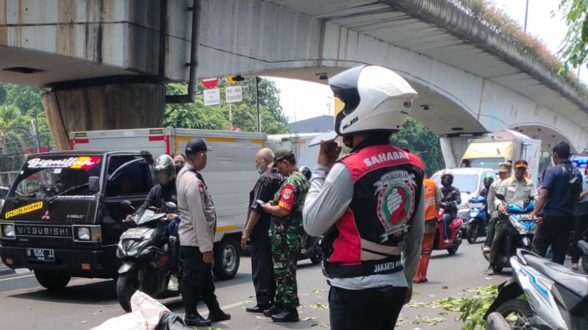Falling Tree Hit, Head Of Motorcyclist Broken In Kemayoran