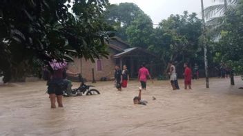 Banjir Rendam Aceh Timur, Ratusan Orang Mengungsi