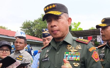 Panglima: TNI Kedepankan Operasi Teritorial Hadapi KKB di Papua