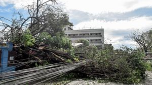 Topan Super Ragasa Terjang China Usai Tewaskan 14 Orang di Taiwan