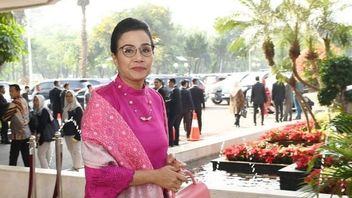 Egyptian Sayonara, Sri Mulyani Claims Success Brings Indonesia's Energy Transition Agenda