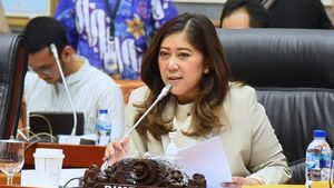 TKN Prabowo Anggap Anies Blunder Tanya Dubes Soal Pindah Kantor ke IKN