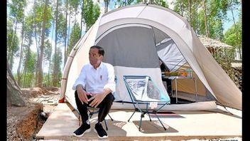 Jokowi Camps At IKN Nusantara, Palace: No Special Food, Most Indomie