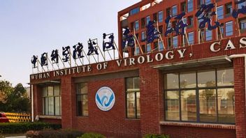 Tolak Desakan WHO Selidiki Ulang Asal-usul Virus Corona, China: Kami Menentang Politisasi Penelitian