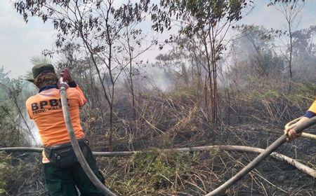 BPBD Sebut Ada 1.184 Titik Panas di Kalimantan Barat Sejak 2 September