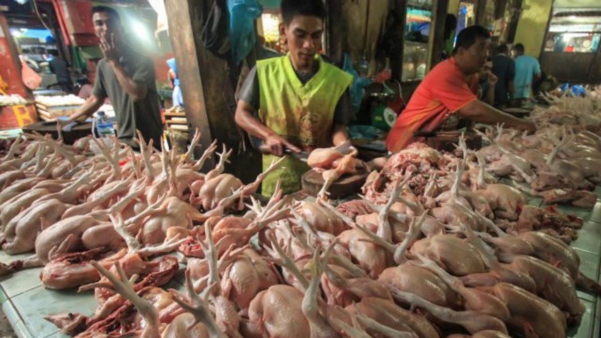 Inflasi 0,13 Persen di April 2021, Pemicunya Daging Ayam Ras