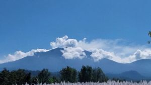 Mount Raung Erupts With A Eruption As High As 600 Meters