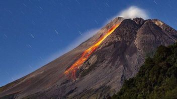 Gunung Merapi Keluarkan 49 Kali Guguran Lava Dalam Satu Minggu