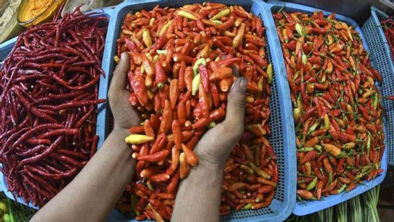 Harga Cabai Rawit Merah di Tingkat Petani Tembus Rp72.000 per Kg