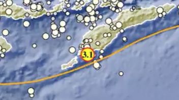 Gempa Kupang Magnitudo 3,1