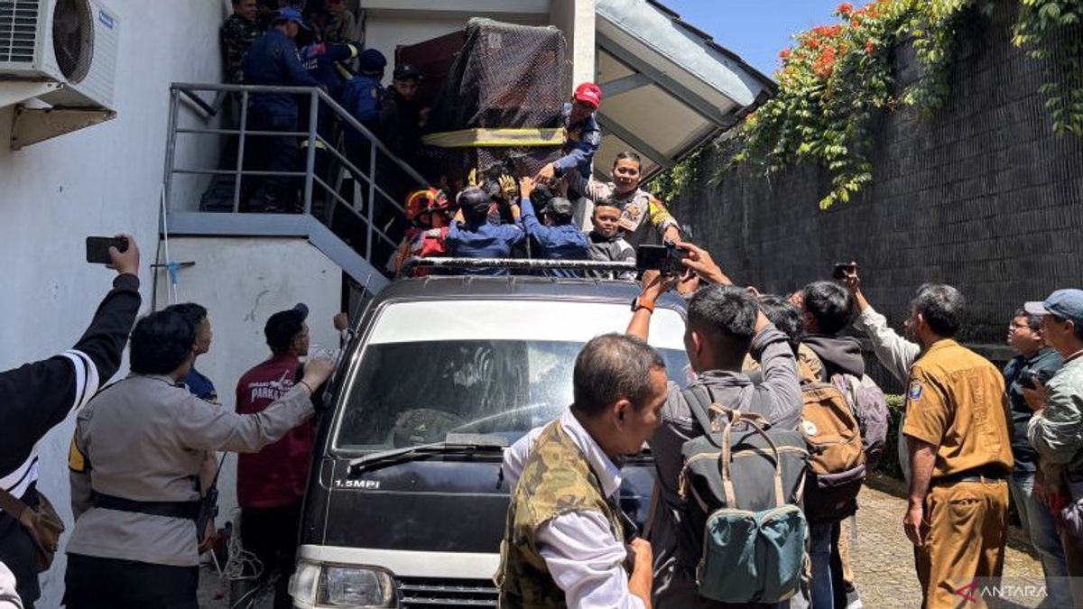 Macan Tutul Masuk ke Hotel Area Lembang Park Zoo, BBKSDA Lakukan Observasi 