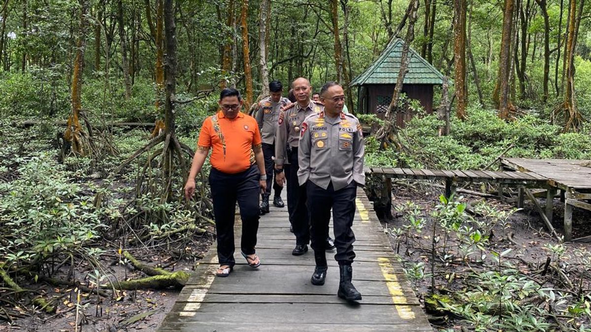 Wakapolda Kaltara passe en revue la conservation de Mangrove, habitat Bekantan à Tarakan