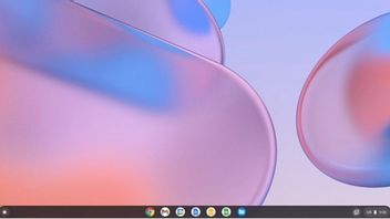 Instal Chrome OS di PC dan Mac Lebih Mudah dengan Versi Flex