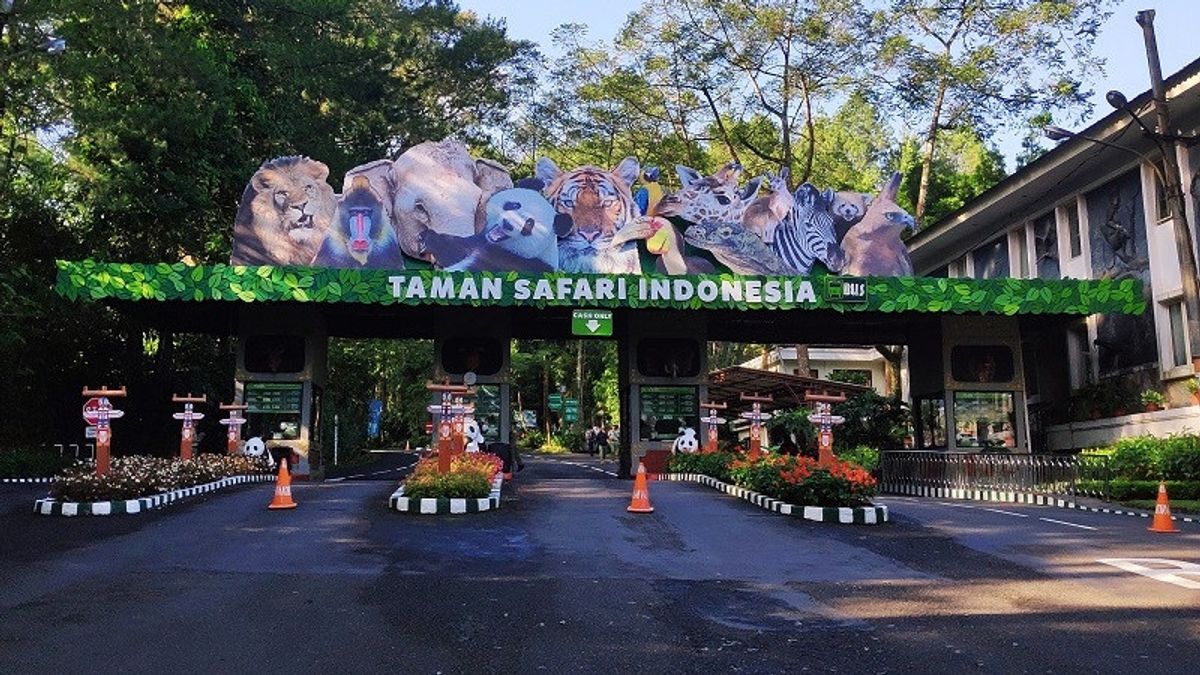 Taman Safari Potong 35 Kambing di Iduladha, Manajemen: Bagian Tanggung Jawab Perusahaan