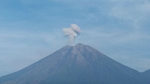 Pagi Ini, Gunung Sumeru Erupsi 8 Kali Muntahkan Abu hingga 800 Meter