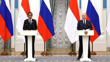 Komisi I DPR Minta Pemerintah Indonesia Tolak Tawaran Putin Jika Nuklir untuk Alutsista