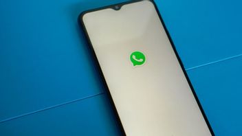 WhatsApp Develop Image Search Feature Through Google