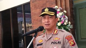 Polda Bali: Selama Tidak Langgar Aturan, Bendera One Piece Tidak Runtuhkan Marwah Negara