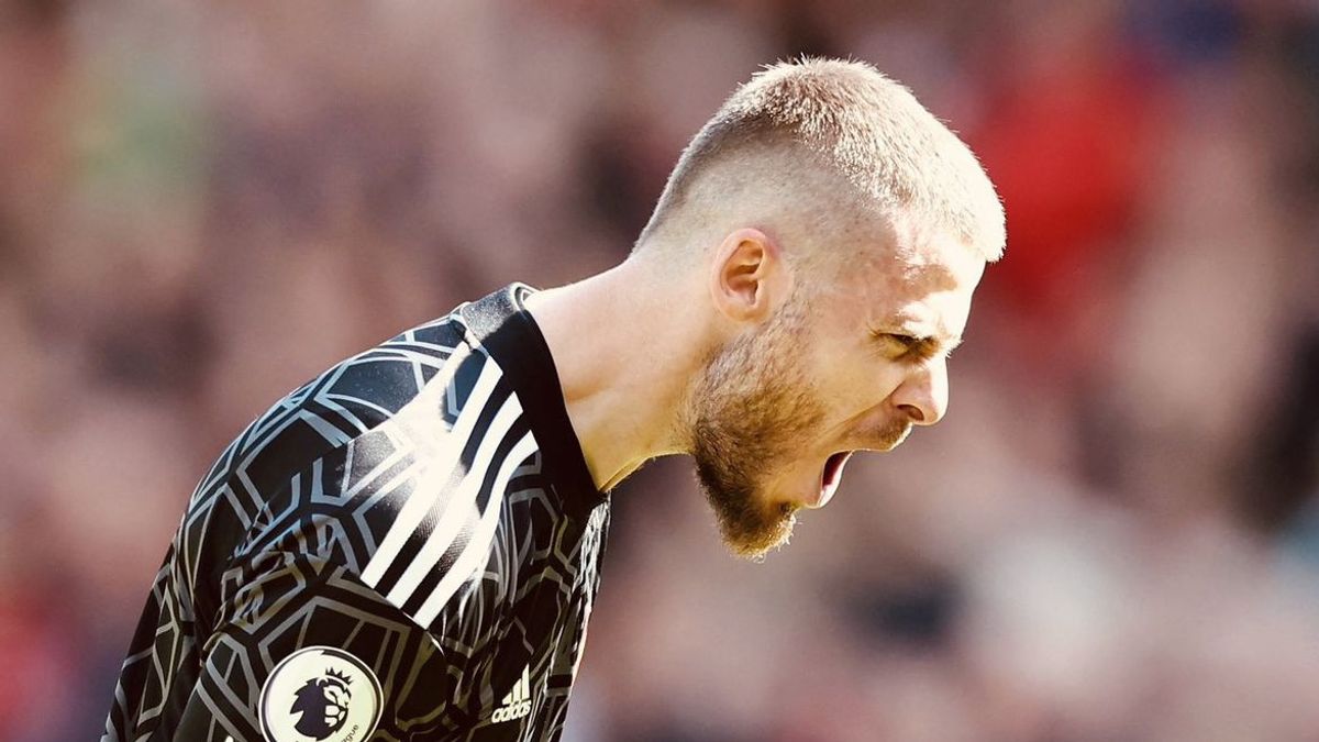 Profile Of David De Gea And His Career Travel, Ever The Best Young Goalkeeper